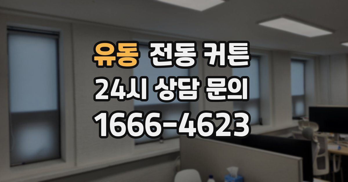 유동 전동 커튼