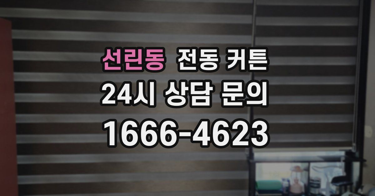 선린동 전동 커튼
