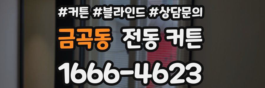 금곡동 전동 커튼