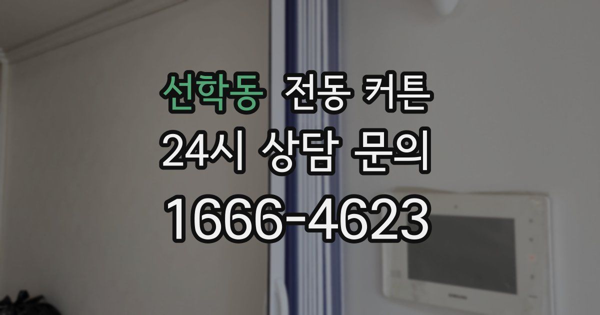 선학동 전동 커튼