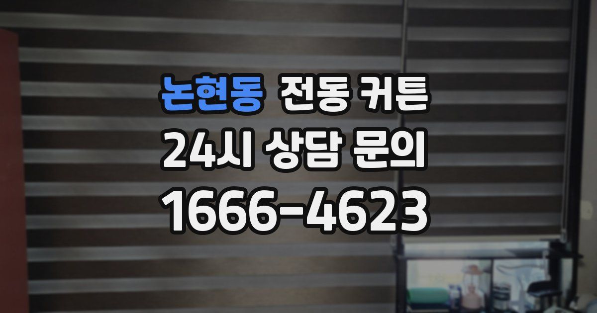 논현동 전동 커튼