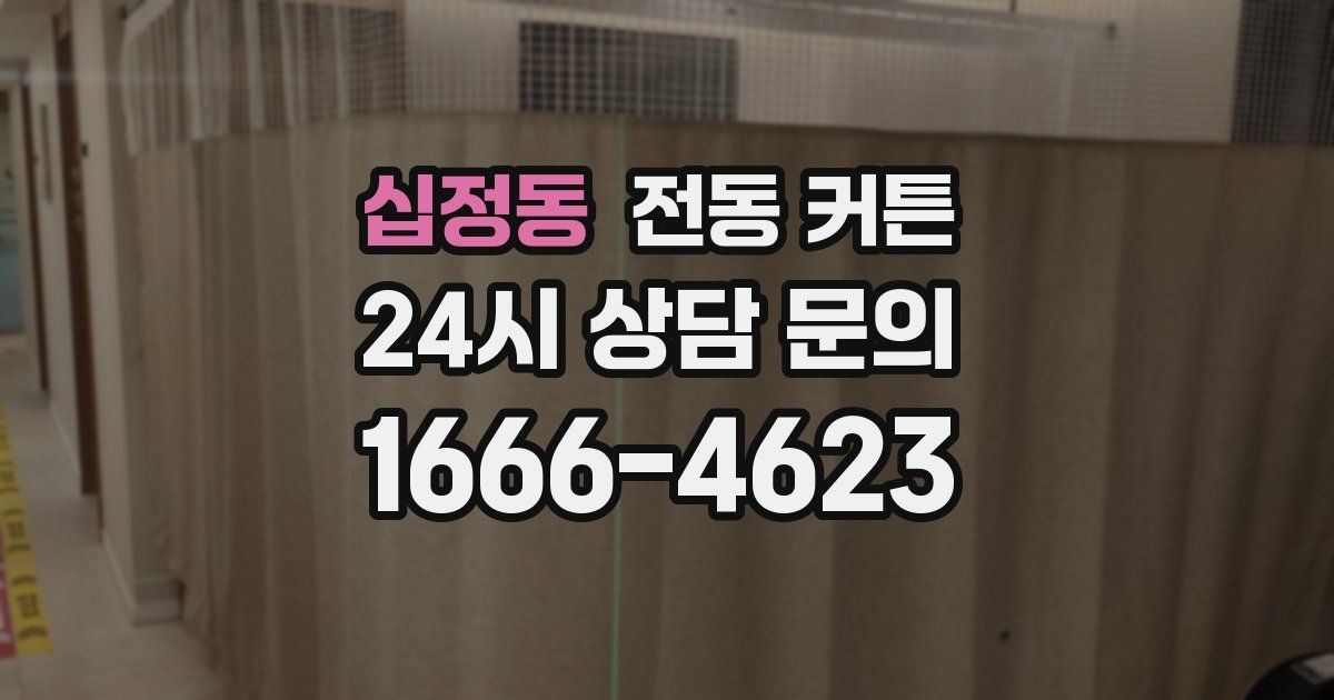 십정동 전동 커튼