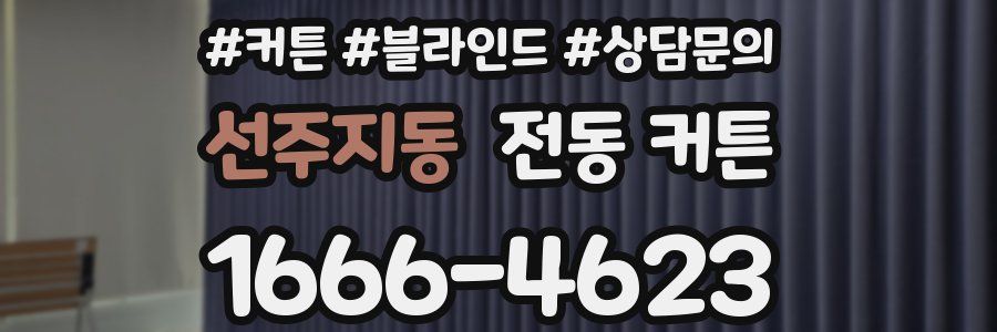 선주지동 전동 커튼