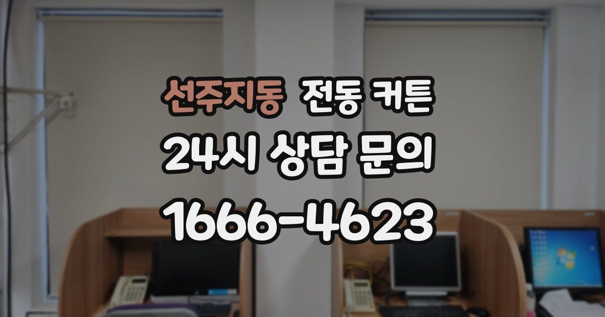 선주지동 전동 커튼