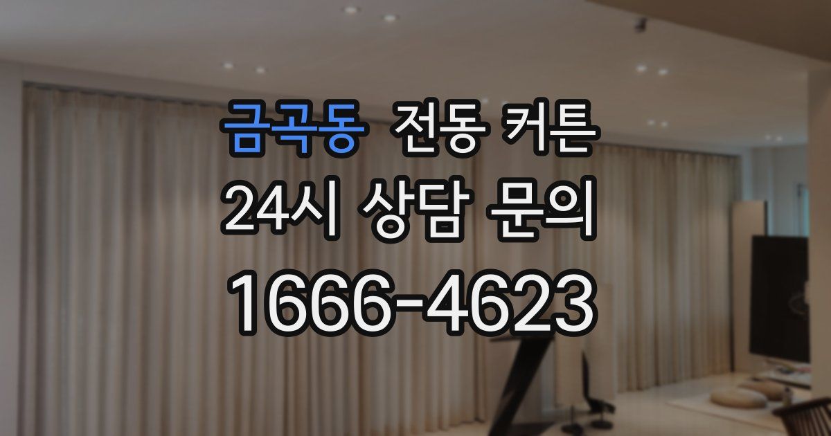 금곡동 전동 커튼