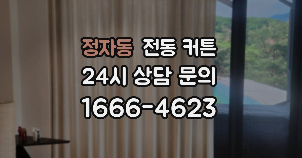 정자동 전동 커튼