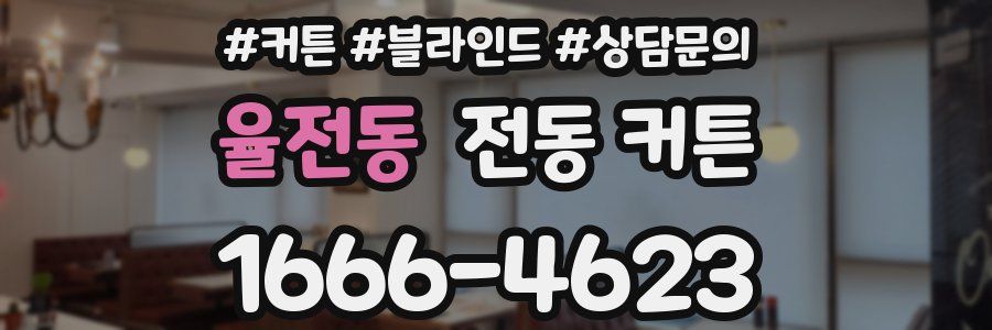 율전동 전동 커튼
