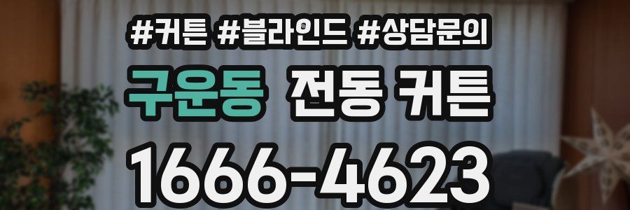 구운동 전동 커튼