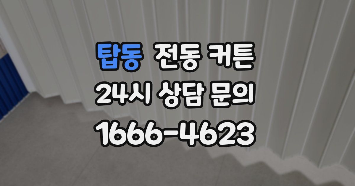 탑동 전동 커튼