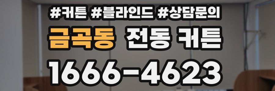 금곡동 전동 커튼