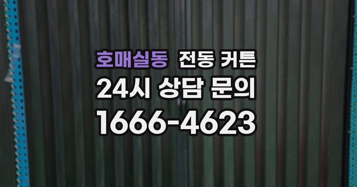호매실동 전동 커튼