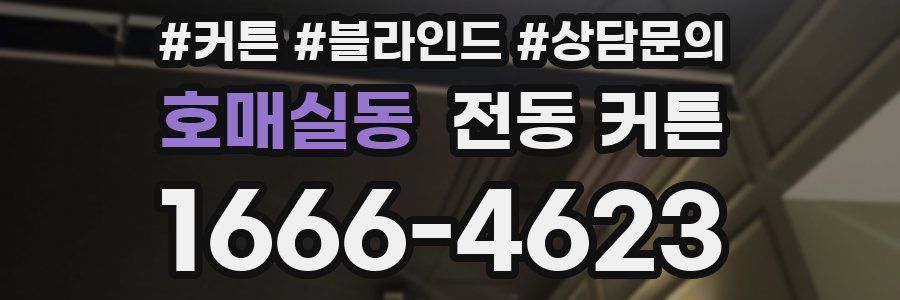 호매실동 전동 커튼
