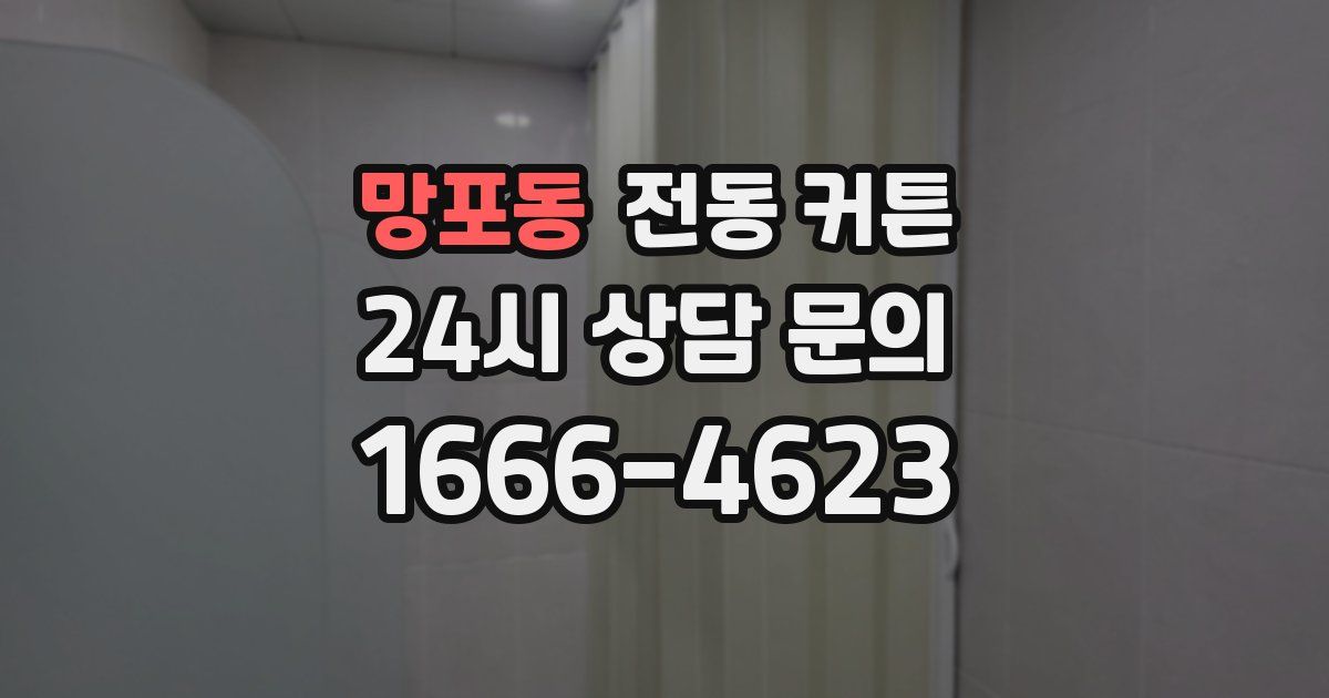 망포동 전동 커튼