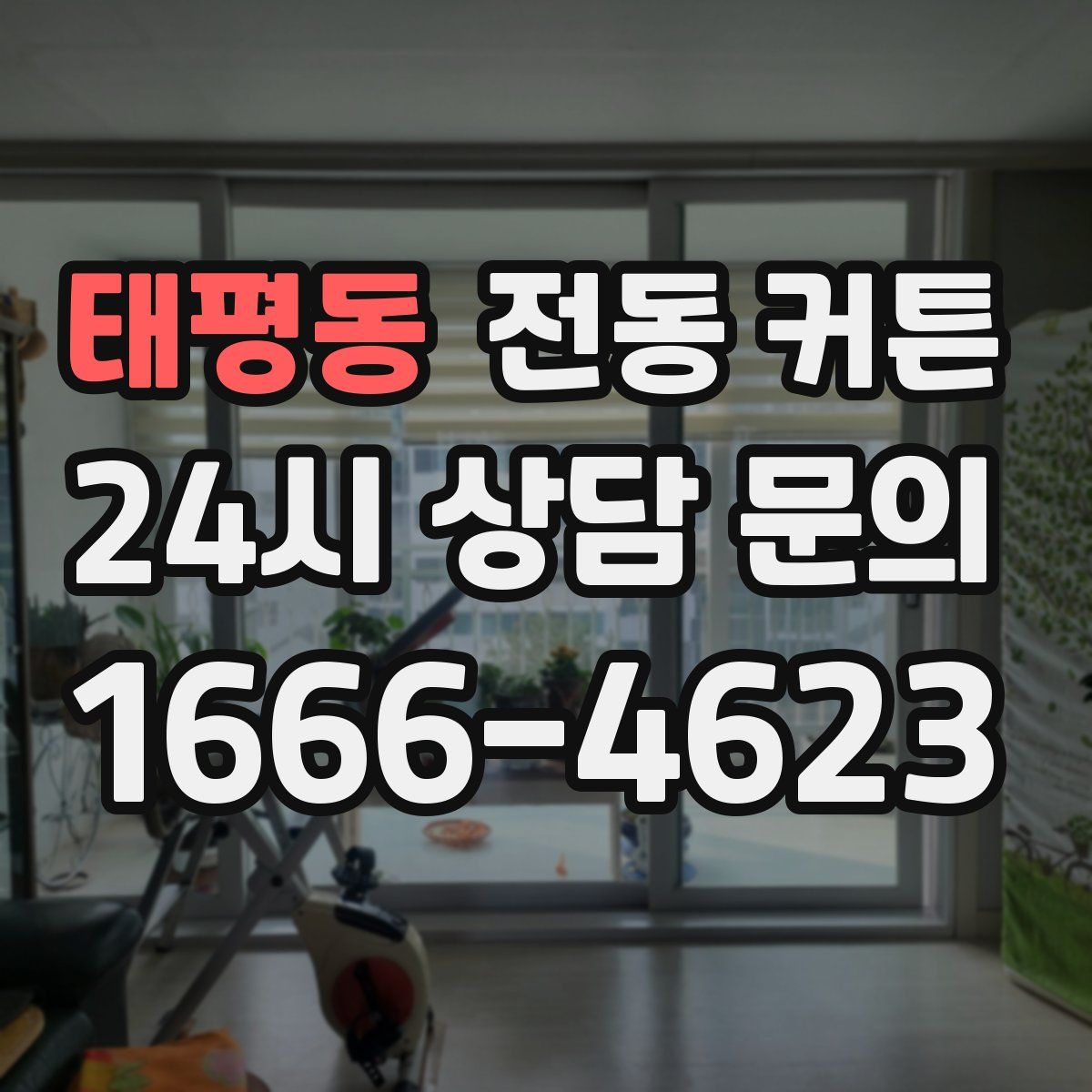 태평동 전동 커튼