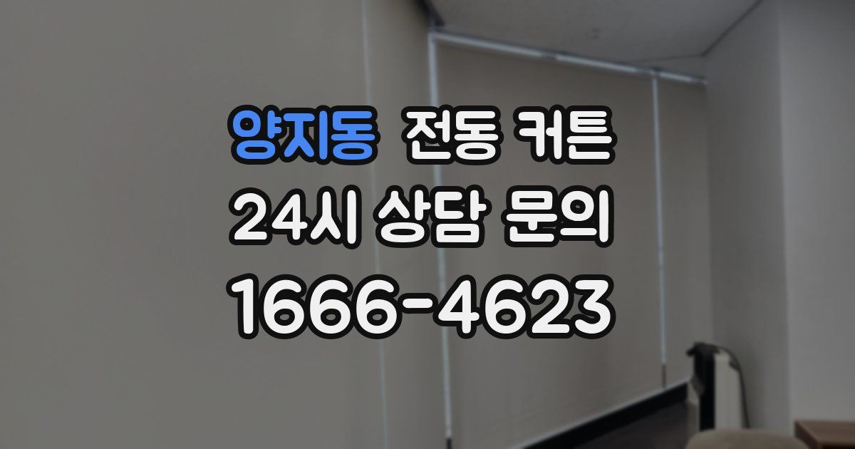 양지동 전동 커튼