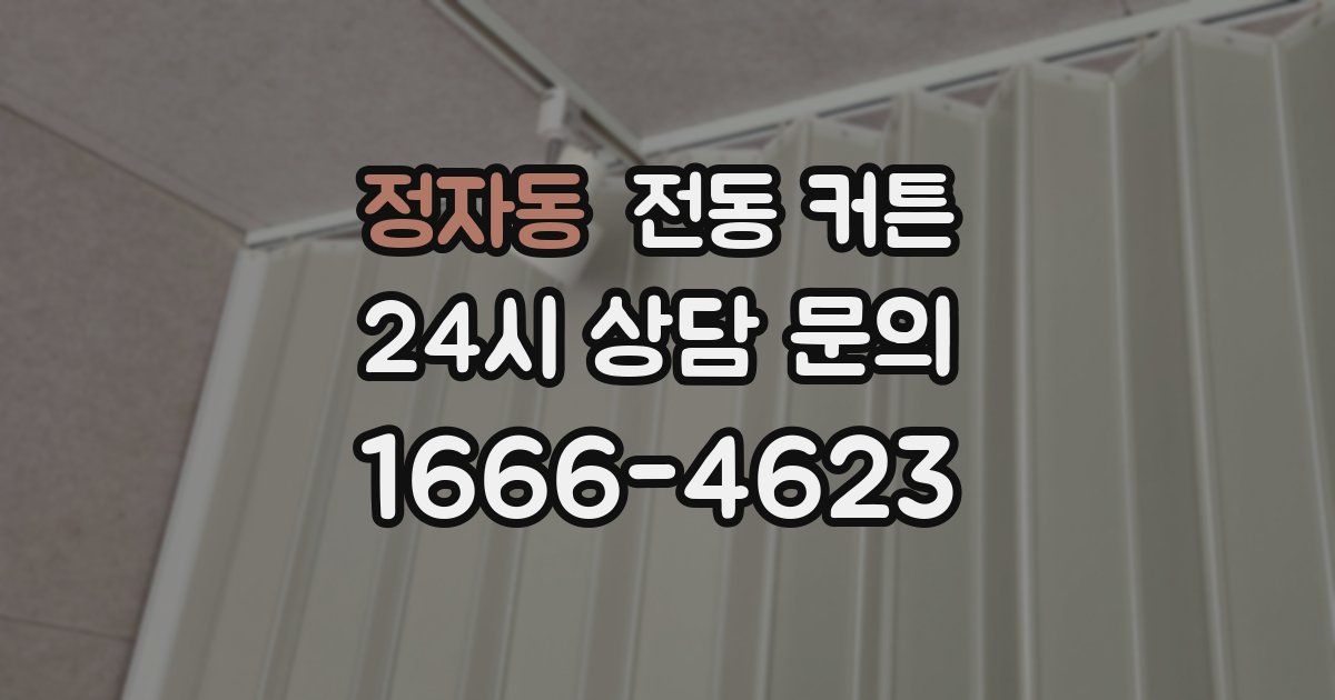 정자동 전동 커튼
