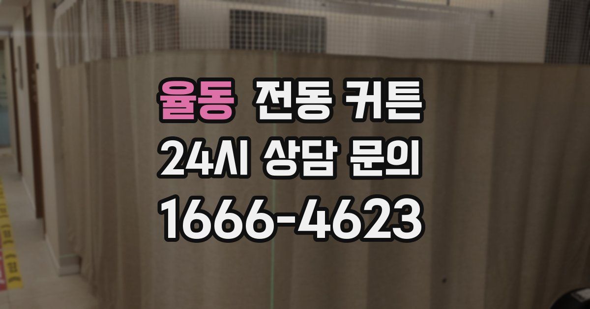 율동 전동 커튼