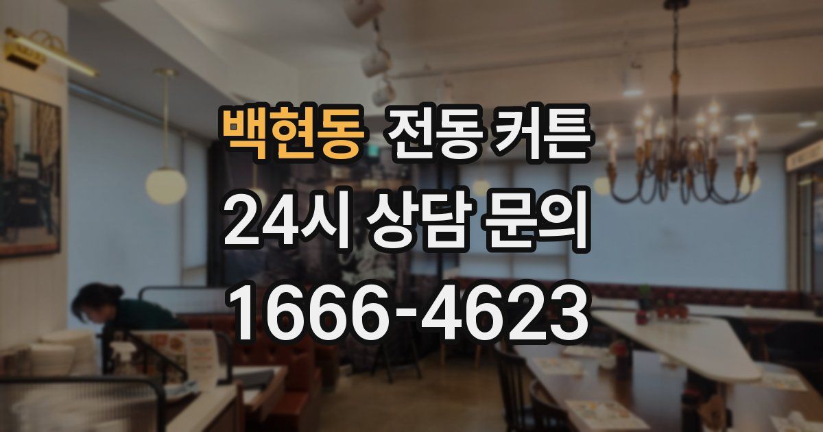 백현동 전동 커튼