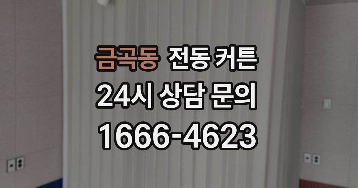 금곡동 전동 커튼