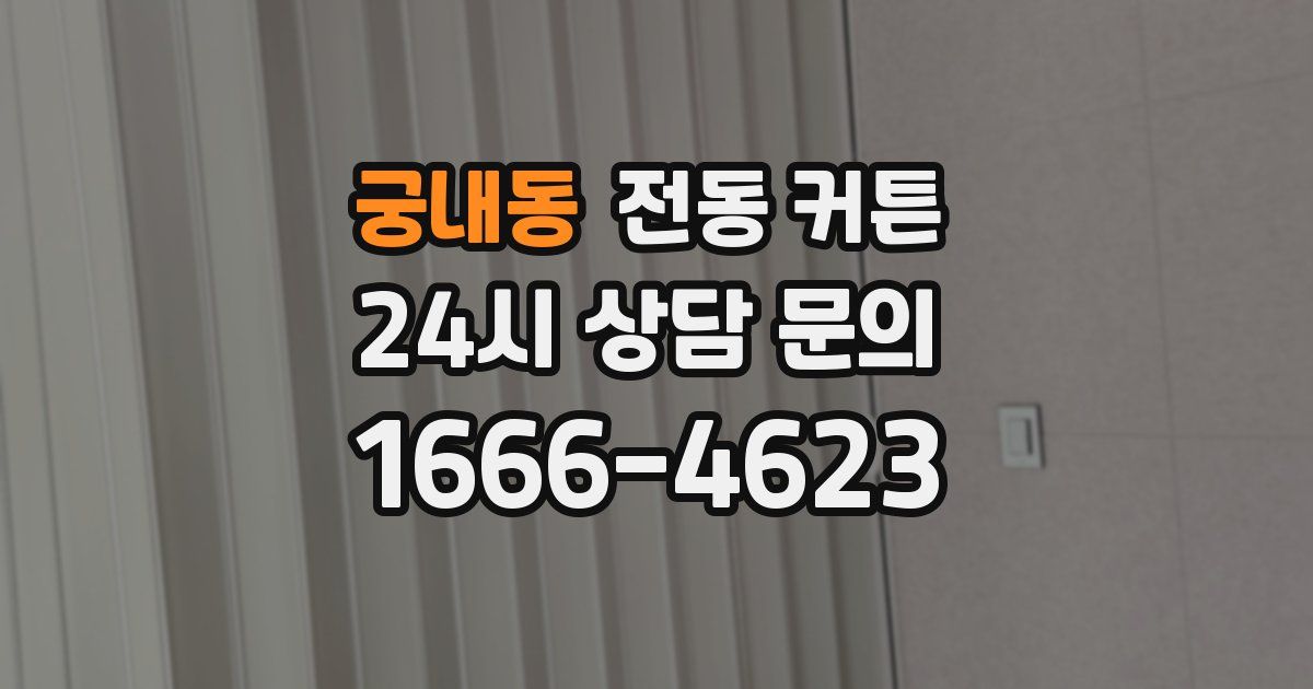 궁내동 전동 커튼