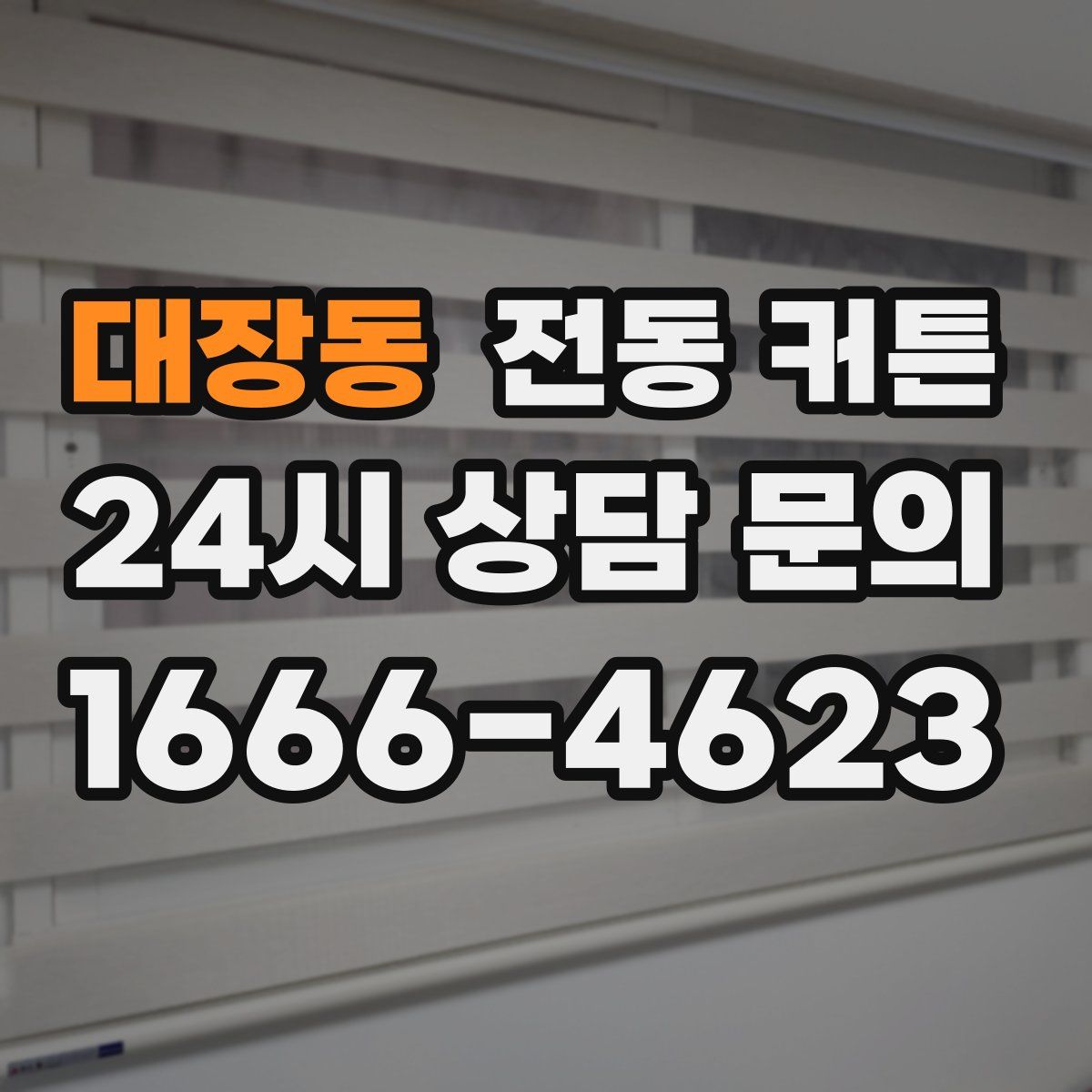 대장동 전동 커튼