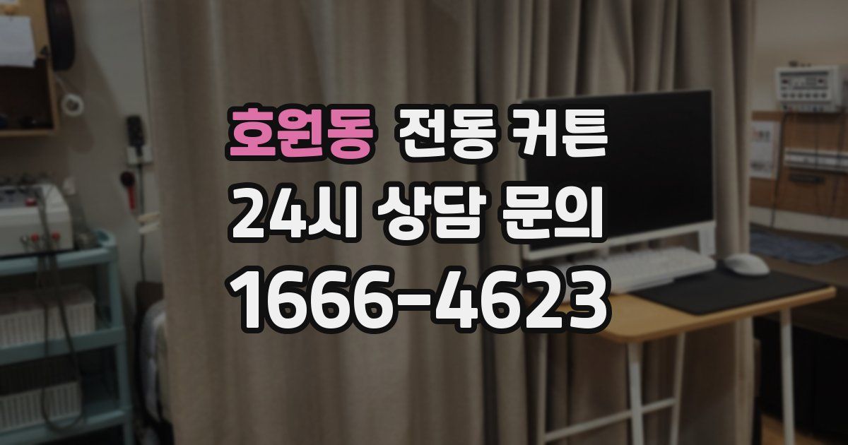 호원동 전동 커튼