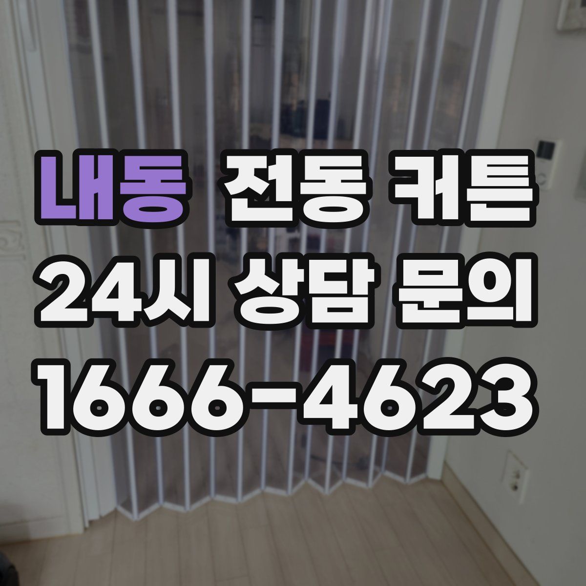 내동 전동 커튼