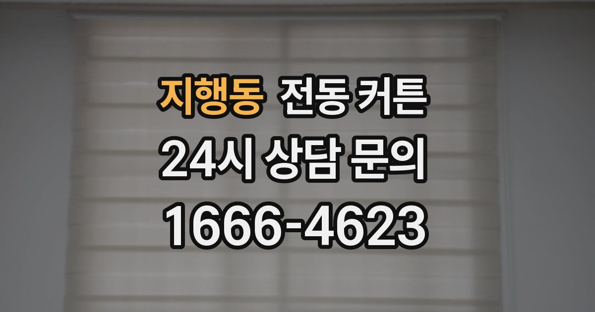 지행동 전동 커튼