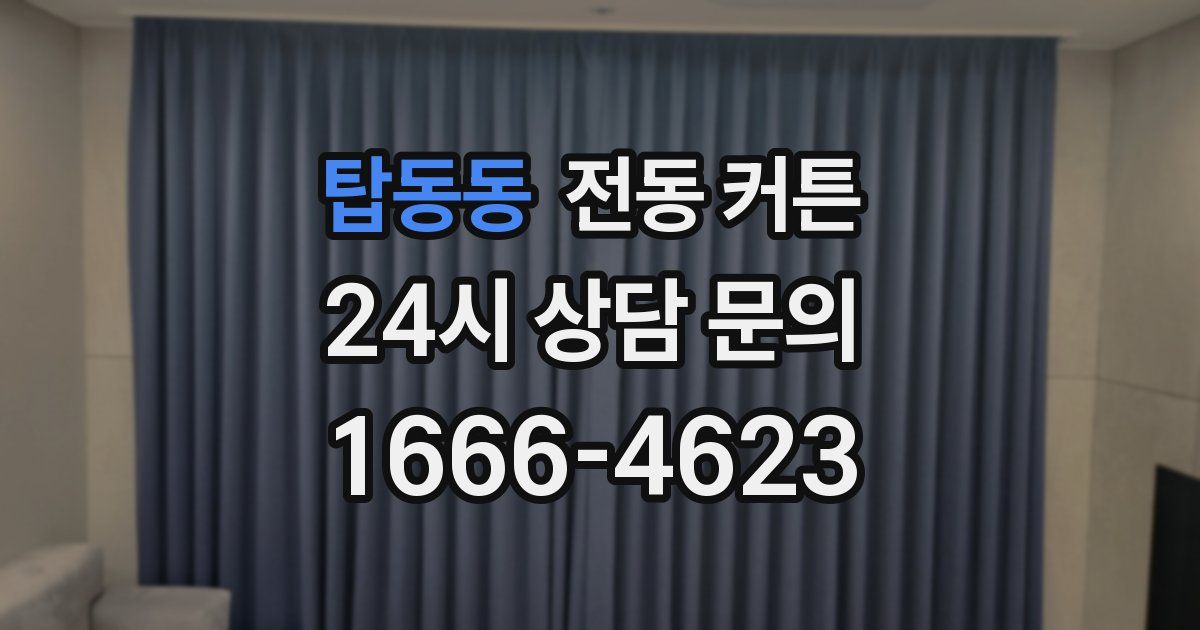 탑동동 전동 커튼