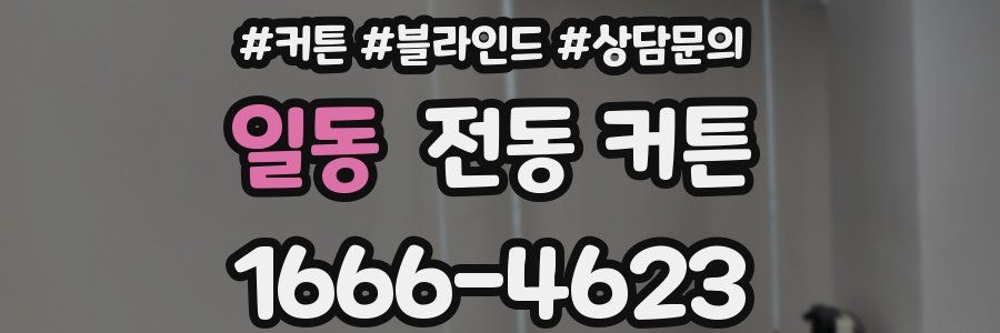 일동 전동 커튼