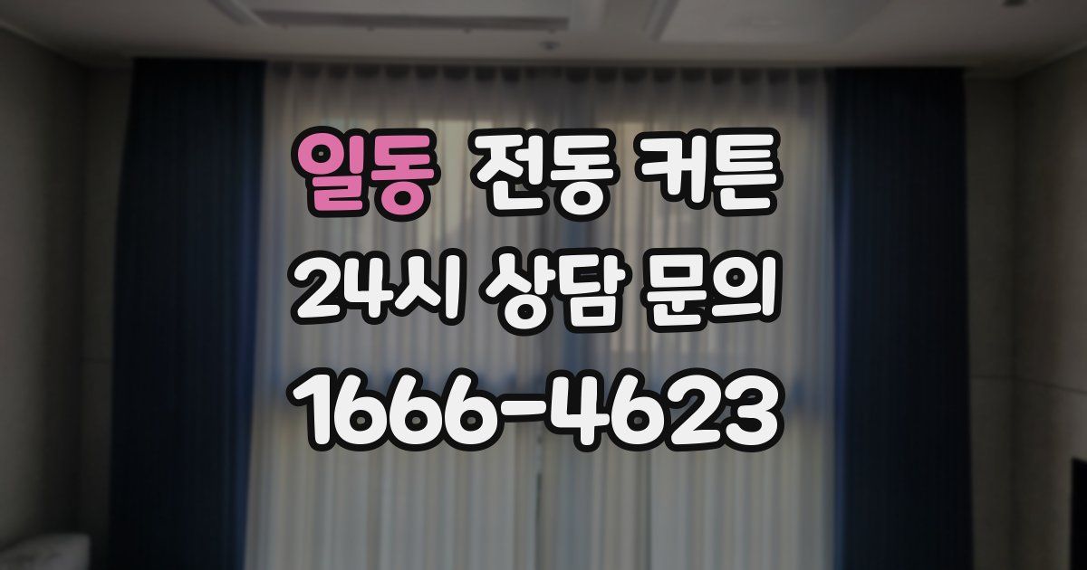 일동 전동 커튼