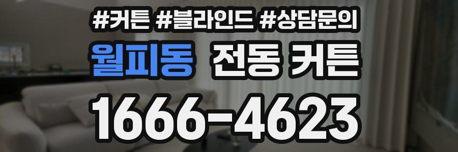 월피동 전동 커튼