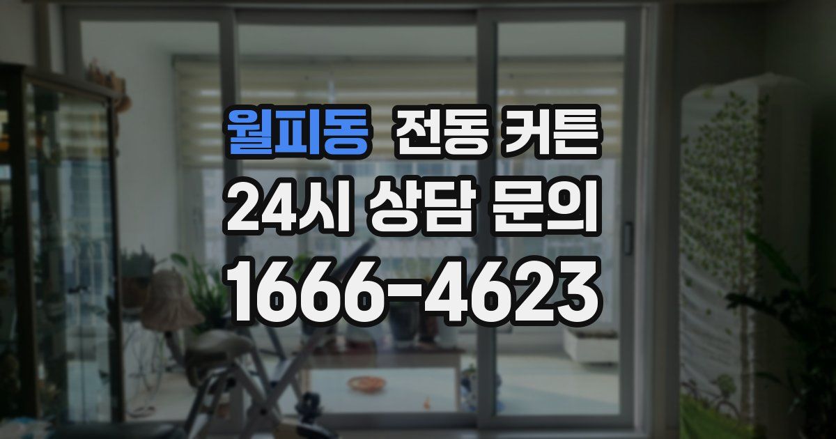 월피동 전동 커튼