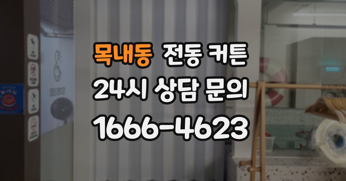 목내동 전동 커튼