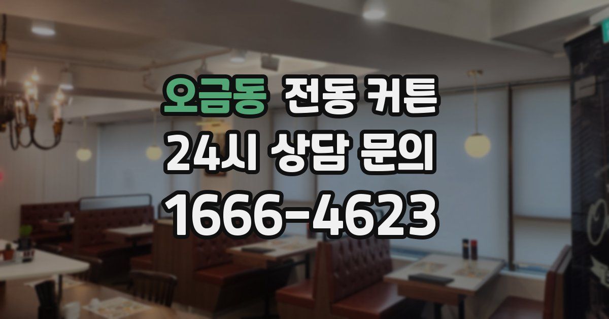 오금동 전동 커튼