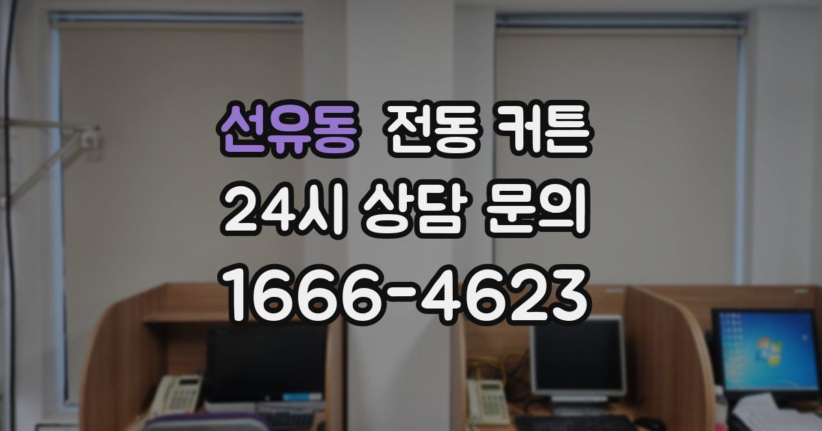 선유동 전동 커튼