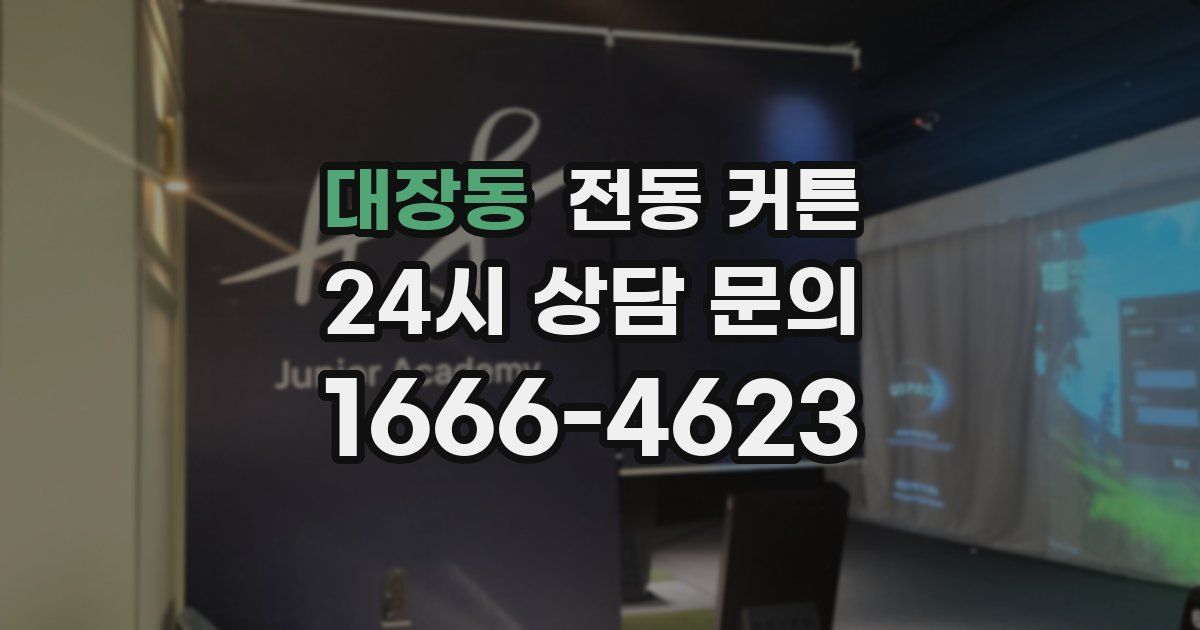 대장동 전동 커튼
