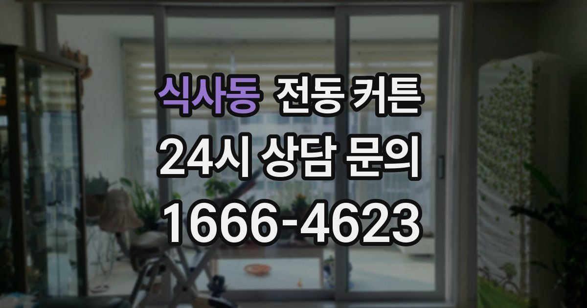 식사동 전동 커튼