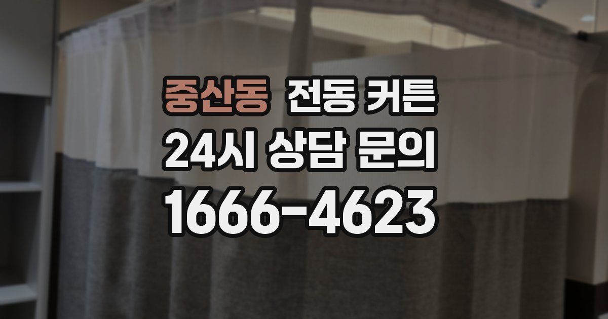 중산동 전동 커튼