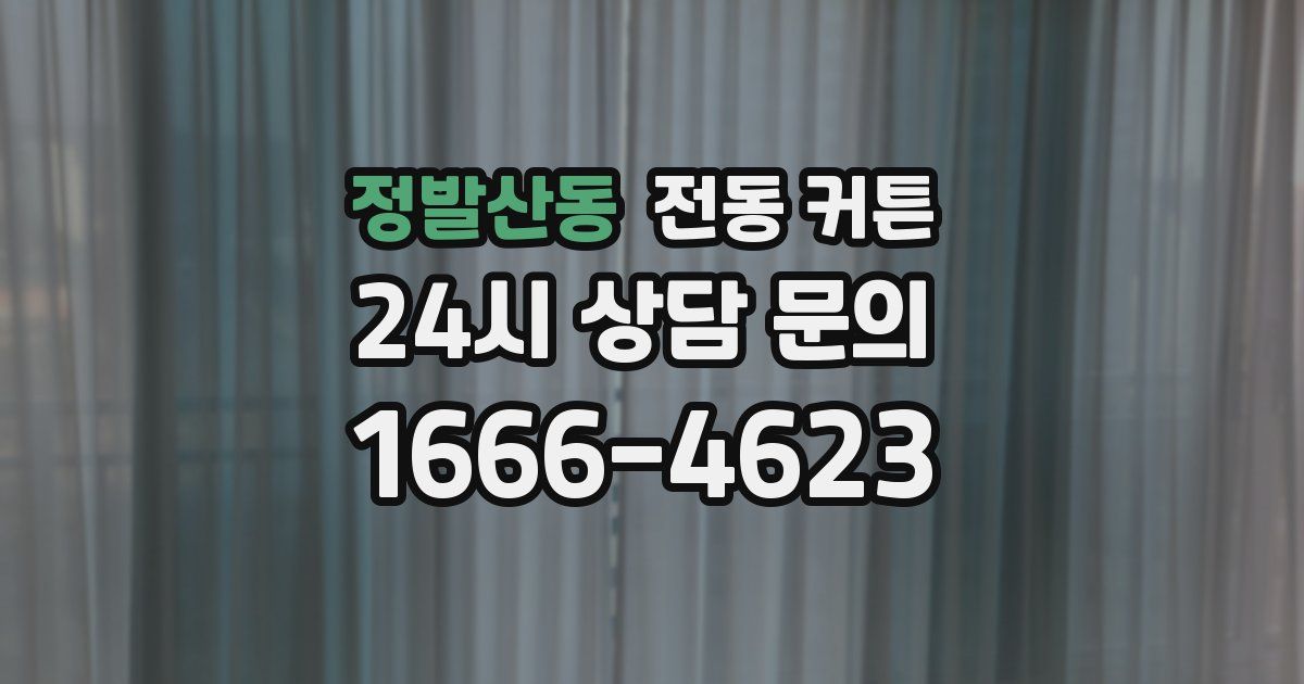 정발산동 전동 커튼