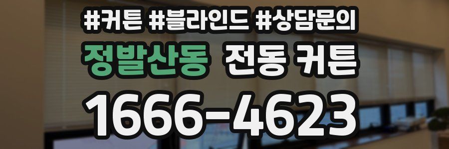 정발산동 전동 커튼