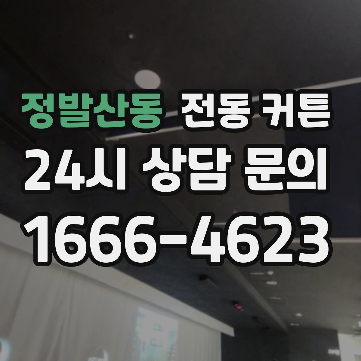정발산동 전동 커튼