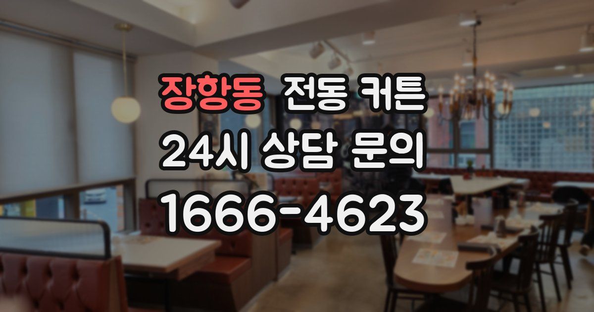 장항동 전동 커튼