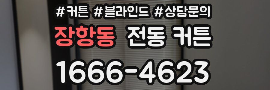 장항동 전동 커튼
