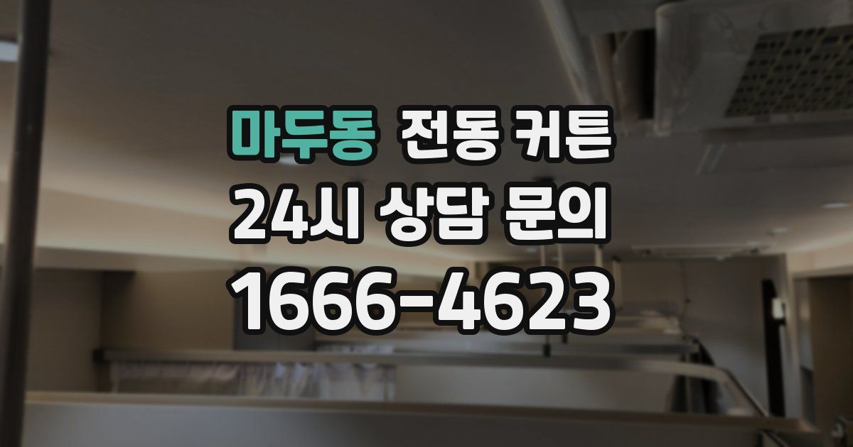 마두동 전동 커튼