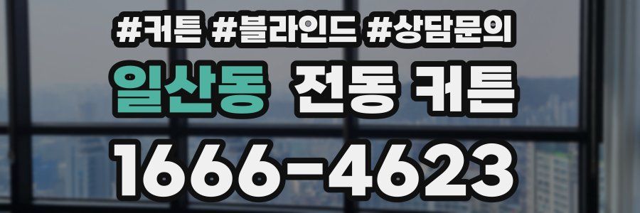 일산동 전동 커튼