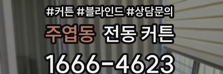 주엽동 전동 커튼