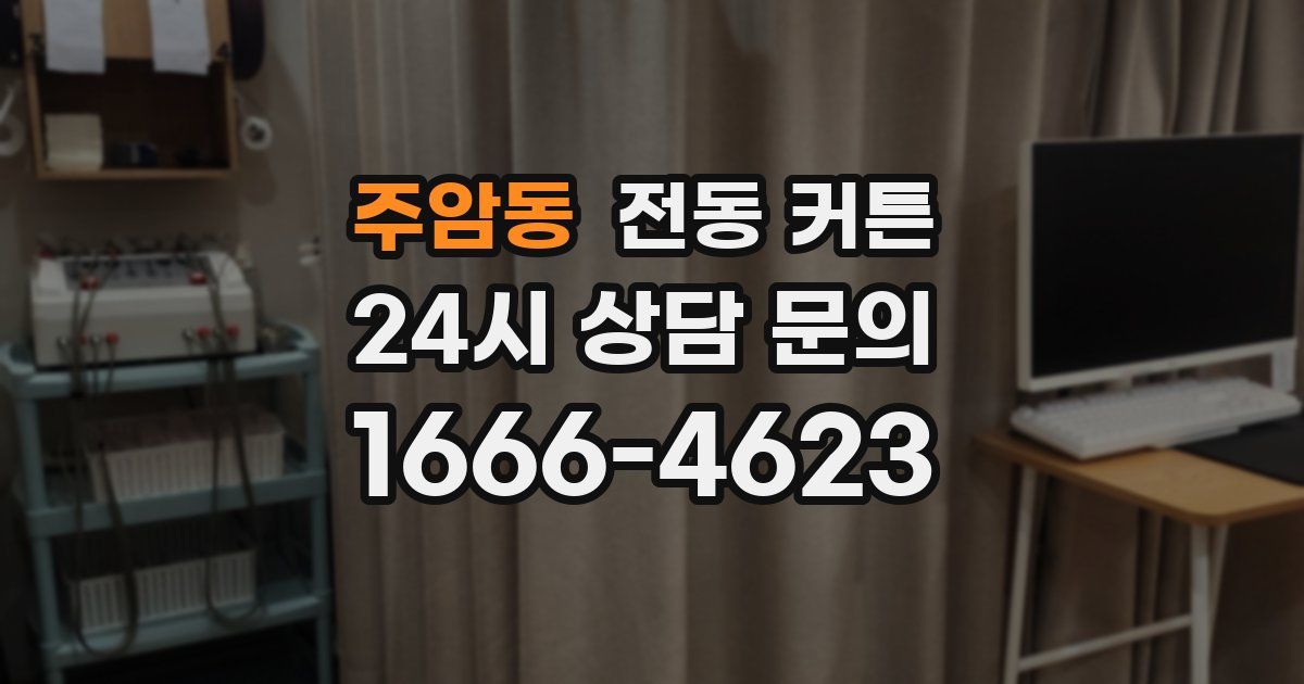 주암동 전동 커튼