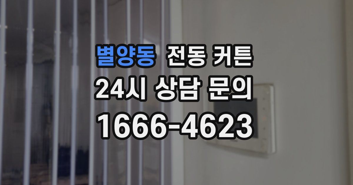 별양동 전동 커튼