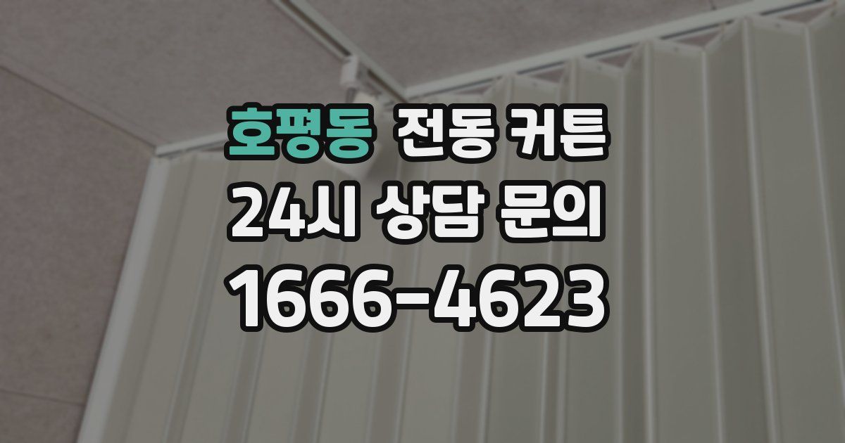 호평동 전동 커튼